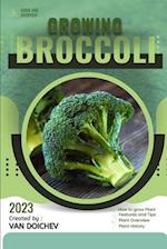 Broccoli: Guide and overview 