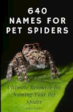640 Names for Pet Spiders 