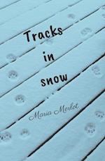 Tracks in Snow 