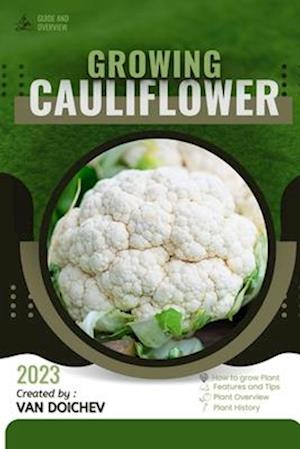 Cauliflower: Guide and overview