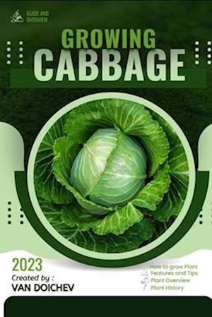 Cabbage: Guide and overview