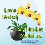 Lan's Orchid (Cây Hoa Lan C&#7911;a Bé Lan)