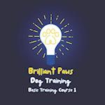 Brilliant Paws Dog Training Basic Training Course 1: An easy to understand basic dog training course 