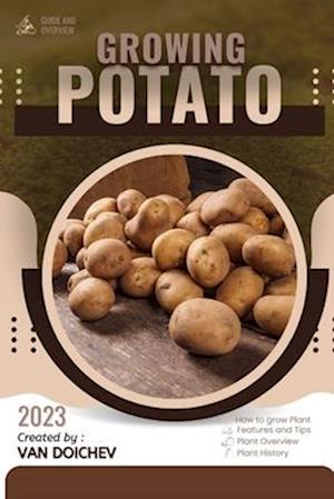 Potato: Guide and overview