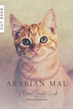 Arabian Mau: Cat Breed Complete Guide 
