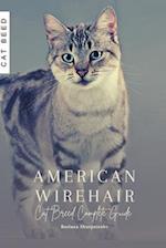 American Wirehair: Cat Breed Complete Guide 