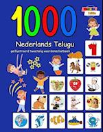 1000 Nederlands Telugu geïllustreerd tweetalig woordenschatboek