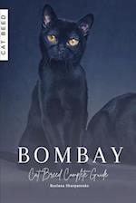 Bombay: Cat Breed Complete Guide 