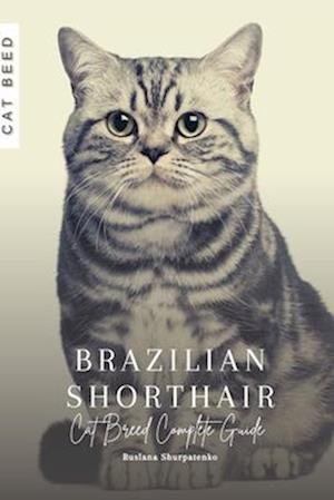 Brazilian Shorthair: Cat Breed Complete Guide