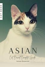 Asian: Cat Breed Complete Guide 