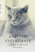 British Shorthair: Cat Breed Complete Guide 