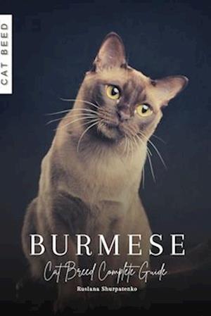 Burmese: Cat Breed Complete Guide