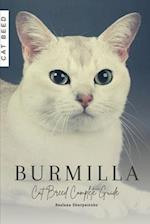 Burmilla: Cat Breed Complete Guide 