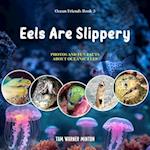 Eels are Slippery: Photos and Fun Facts about Oceanic Eels 