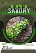 Savory: Guide and overview 