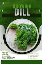 Dill: Guide and overview 