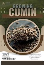 Cumin: Guide and overview 