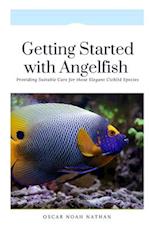 Getting Started with Angelfish - Providing Suitable Care for these Elegant Cichlid Species 
