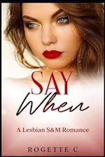 Say When: A Lesbian S&M Romance 