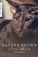 Havana Brown: Cat Breed Complete Guide 