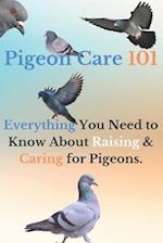Pigeon Care 101: Everything You Need to Know About Raising and Caring for Pigeons 