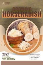 Horseradish: Guide and overview 