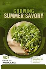 Summer Savory: Guide and overview 