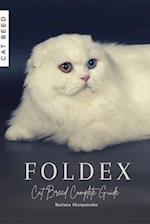 Foldex: Cat Breed Complete Guide 