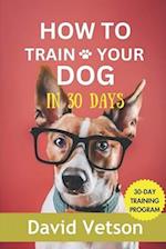 How to train your dog in 30 days: The ultimate guide for canin behavior 