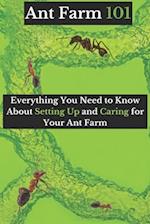 Ant Farm 101: Everything You Need to Know About Setting Up and Caring for Your Ant Farm 