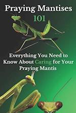 Praying Mantises 101: Everything You Need to Know About Caring for Your Praying Mantis 