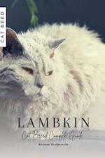 Lambkin: Cat Breed Complete Guide 