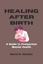 Healing After Birth: A Guide to Postpartum Mental Health 