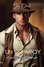 Un Cowboy Enamorado