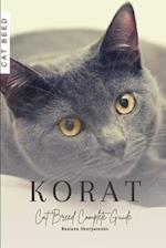 Korat: Cat Breed Complete Guide 