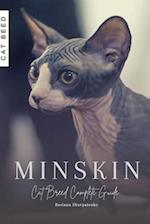 Minskin: Cat Breed Complete Guide 