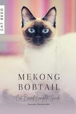 Mekong Bobtail: Cat Breed Complete Guide 