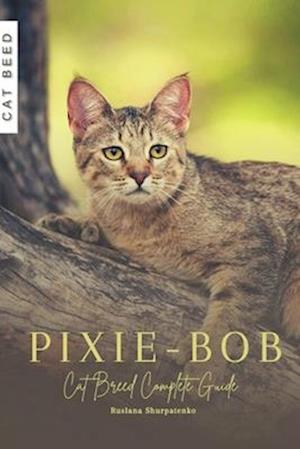 Pixie-Bob: Cat Breed Complete Guide