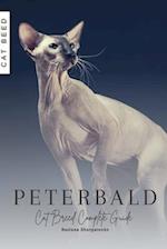 Peterbald: Cat Breed Complete Guide 