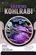 Kohlrabi: Guide and overview 