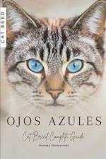 Ojos Azules: Cat Breed Complete Guide 