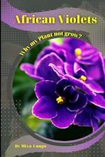 African Violets: Why my Plant not grow? problems and their solutions 