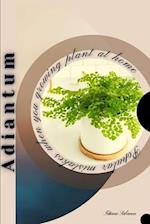 Adiantum: Popular mistakes when you growing PLANT at home 