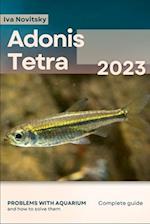Adonis Tetra: Problems with aquarium and how to solve them 