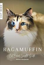 Ragamuffin: Cat Breed Complete Guide 