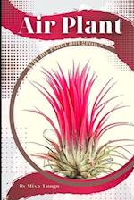 Air Plant: Why my Plant not grow? problems and their solutions 