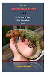 Tips to Caiman Lizard as Pet: All You Need To Know About Your Caiman Lizard 