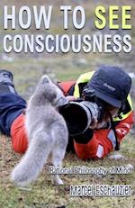 How to See Consciousness: Rational Philosophy of Mind 