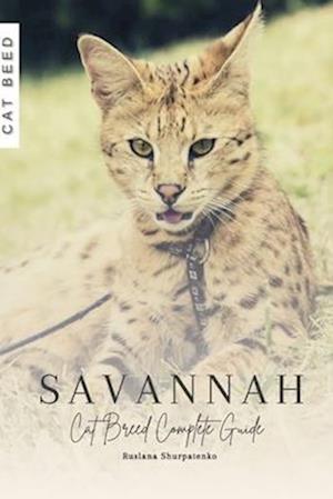 Savannah: Cat Breed Complete Guide