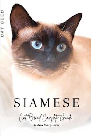 Siamese: Cat Breed Complete Guide